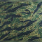 Tissu Camouflage Tiger Stripe