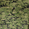 Tissu Camouflage AOR2