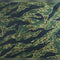 Tissu Camouflage Tiger Stripe